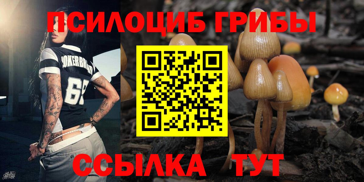Галлюциногенные грибы MAGIC MUSHROOMS  Вход с VPN  Чебоксары 