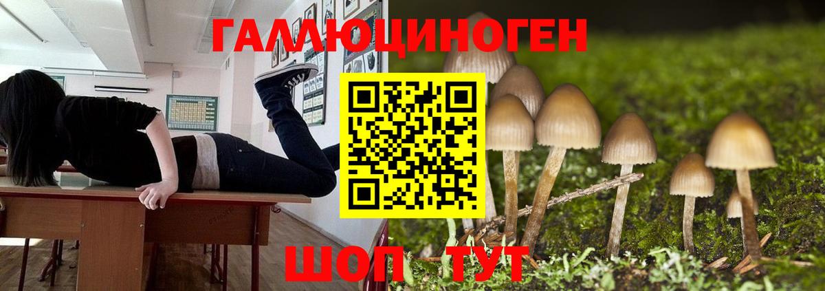 Альфа ПВП Чебоксары